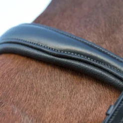 Horze Laelia Kandarenzaum -Weatherbeeta Shop 10001 BL 04