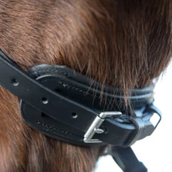 Horze Laelia Kandarenzaum -Weatherbeeta Shop 10001 BL 05