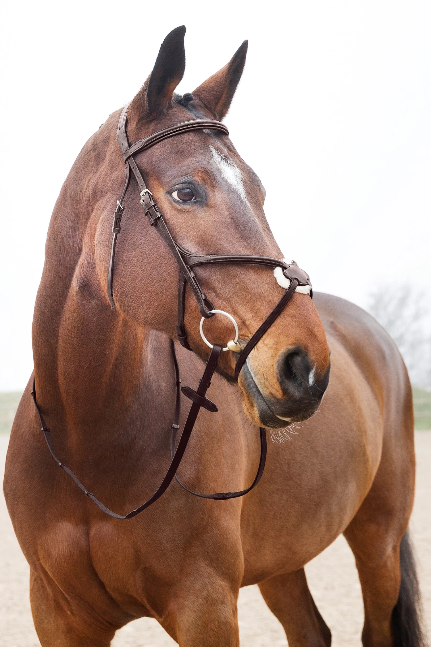 Horze Prescott Mexikanische Trense 9 Horze Prescott Mexikanische Trense – Bild 7