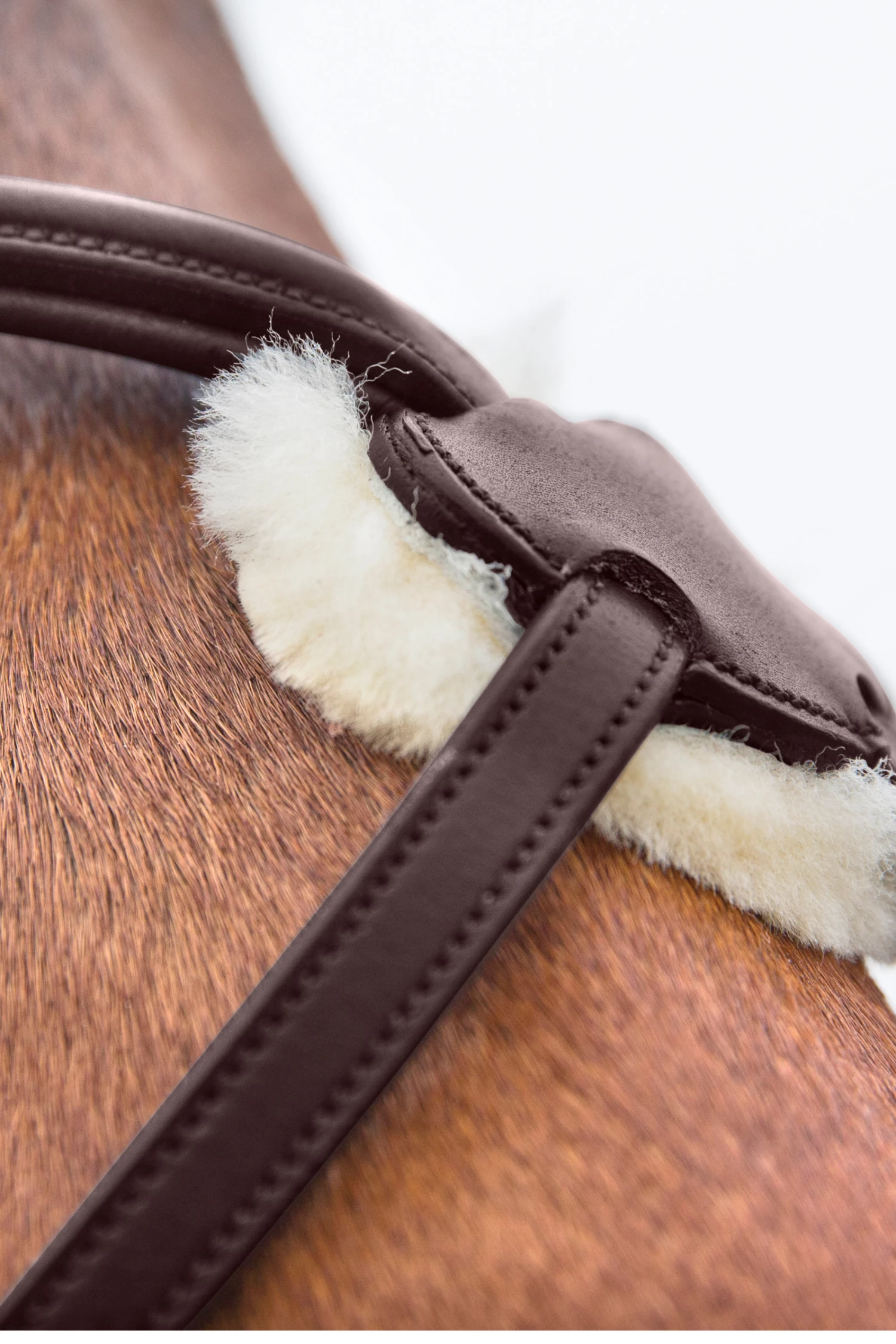 Horze Prescott Mexikanische Trense 10 Horze Prescott Mexikanische Trense – Bild 8