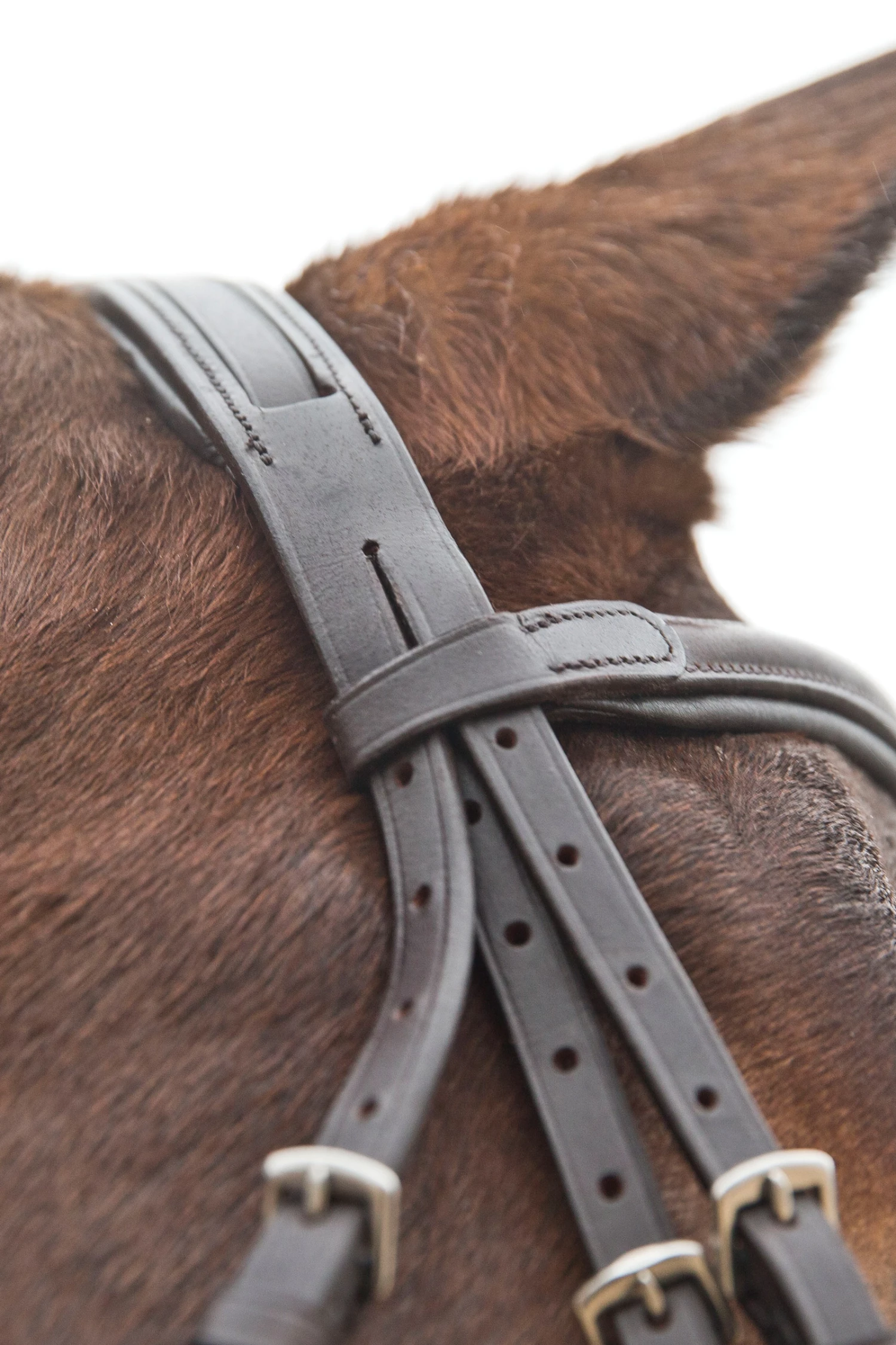 Horze Prescott Mexikanische Trense 11 Horze Prescott Mexikanische Trense – Bild 9