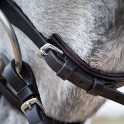 Horze Weston Trense 16 Horze Weston Trense -Weatherbeeta Shop 10017 BR 04