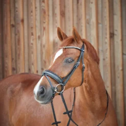 Horze Lester Trense 13 Horze Lester Trense -Weatherbeeta Shop 10019 BL 4