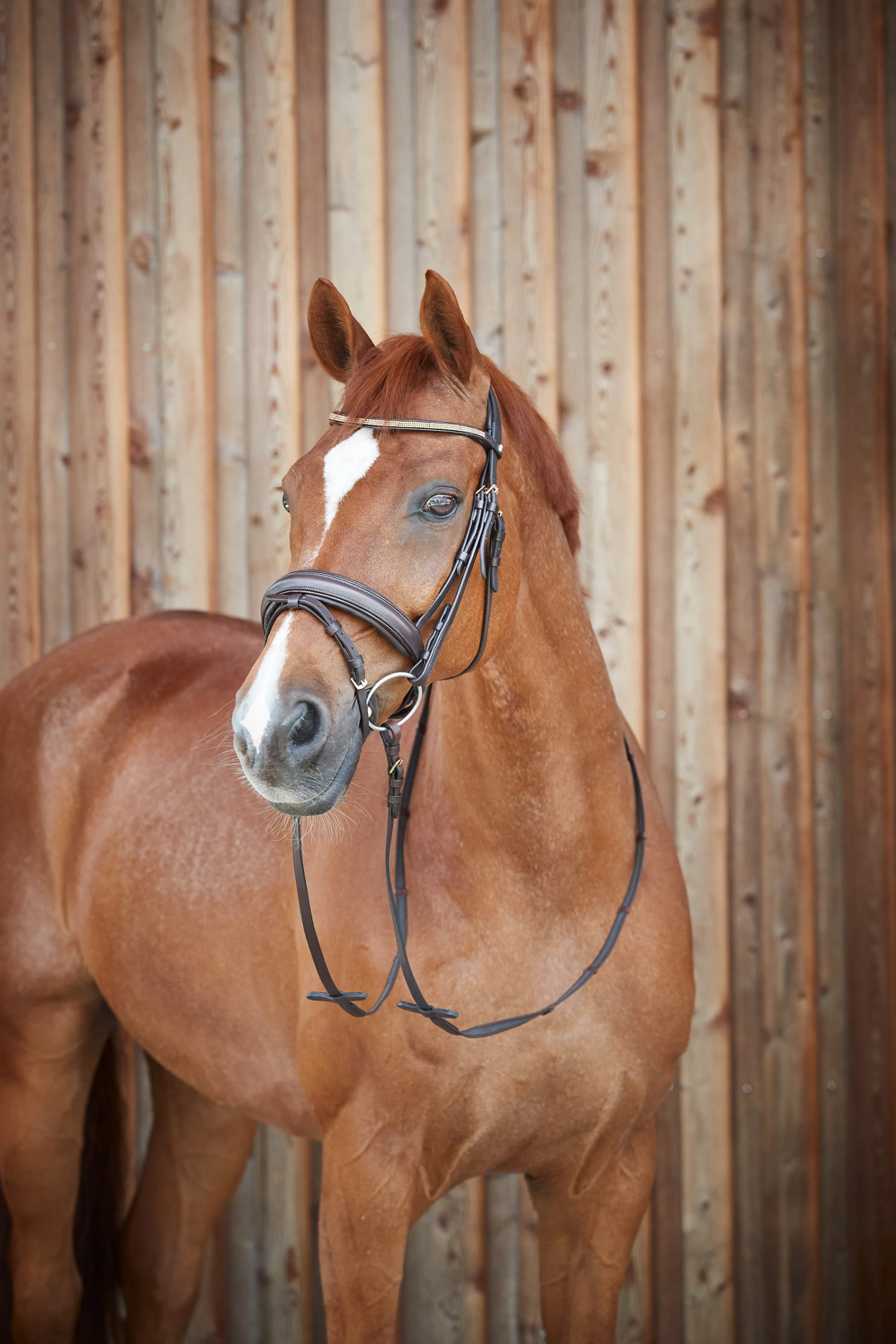 Horze Lester Trense 10 Horze Lester Trense – Bild 8