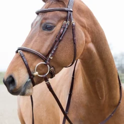 Horze Constance Weich Unterlegte Trense -Weatherbeeta Shop 10040 LBR 01