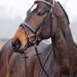 Horze Venice Trense Mit Zügeln -Weatherbeeta Shop 10045 DBR 02