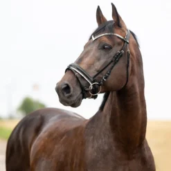 Horze Grayson Anatomische Trense 27 Horze Grayson Anatomische Trense -Weatherbeeta Shop 10084 BL 1