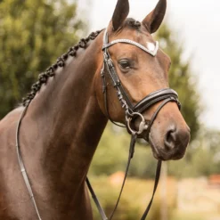 Horze Grayson Anatomische Trense 22 Horze Grayson Anatomische Trense -Weatherbeeta Shop 10084 BL BL 4