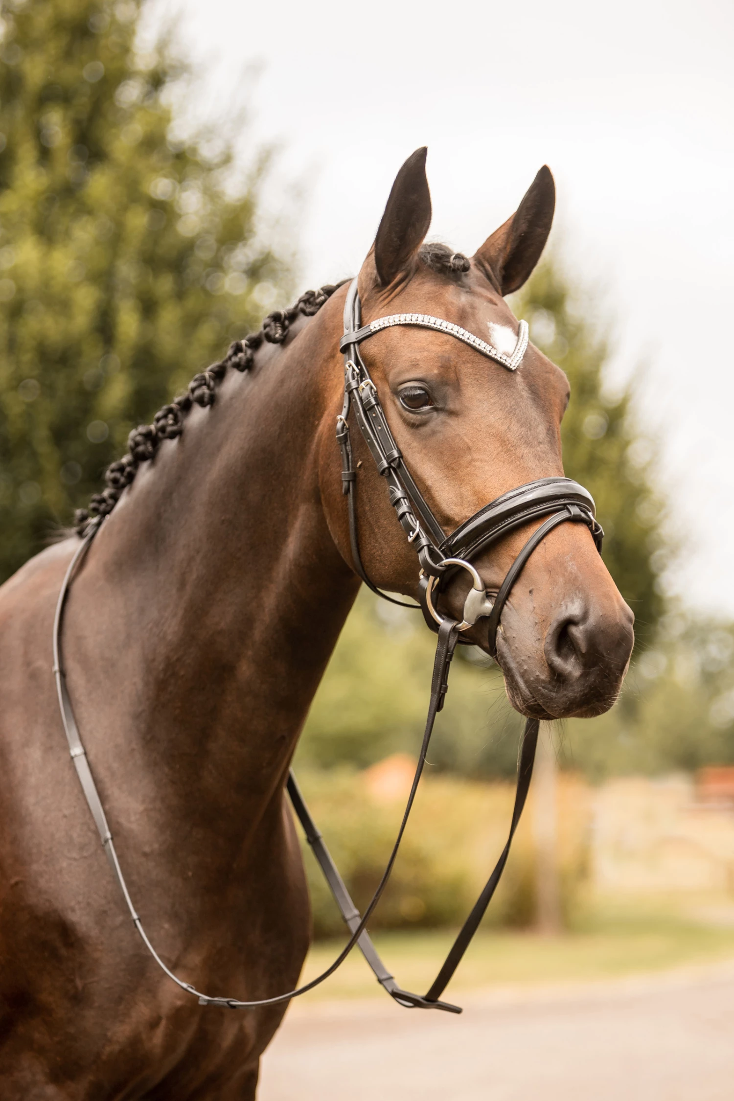 Horze Grayson Anatomische Trense 6 Horze Grayson Anatomische Trense – Bild 4