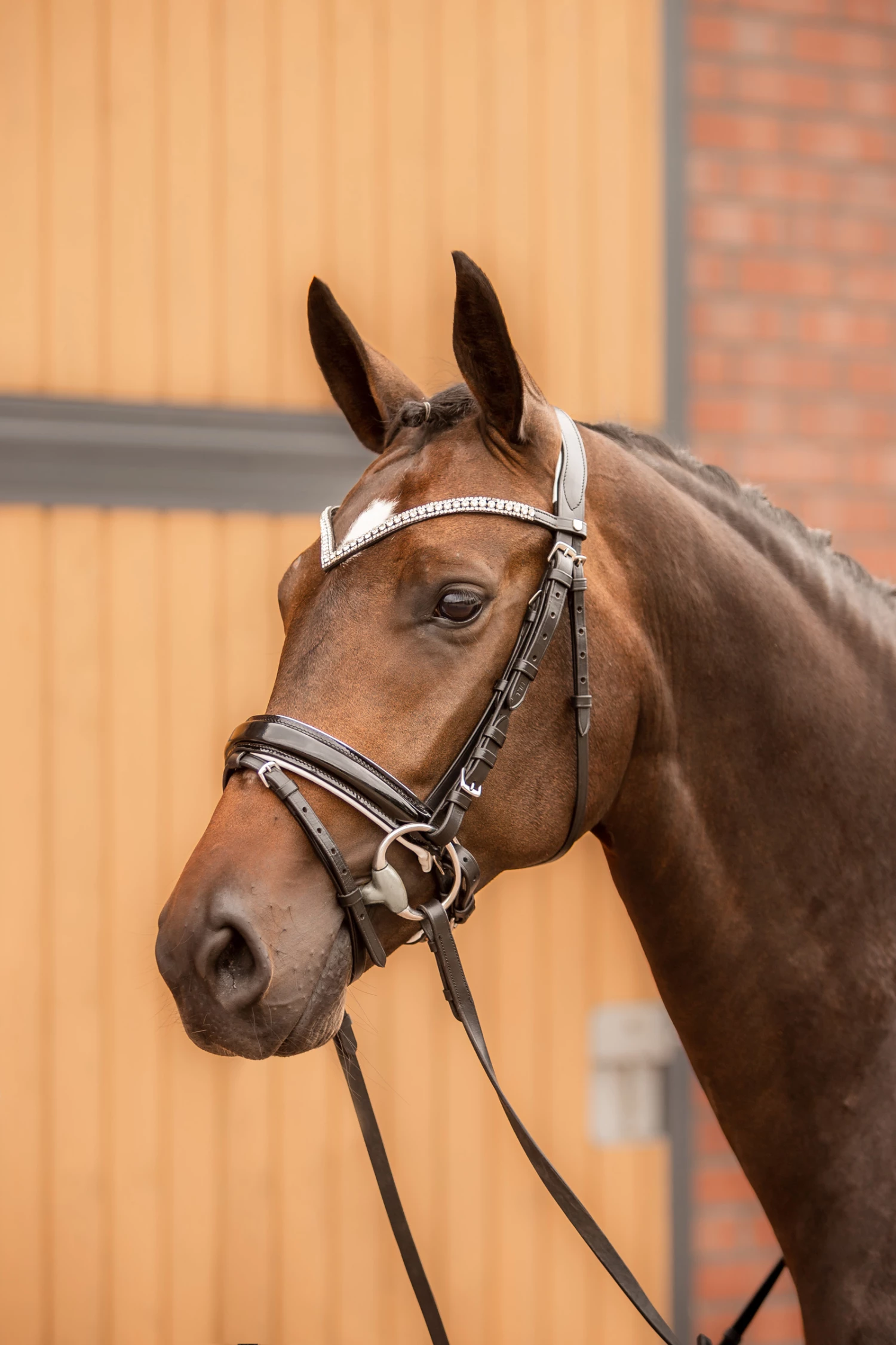 Horze Grayson Anatomische Trense 10 Horze Grayson Anatomische Trense – Bild 8