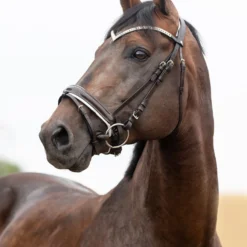 Horze Grayson Anatomische Trense 33 Horze Grayson Anatomische Trense -Weatherbeeta Shop 10084 DBR 1