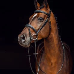 Horze Sion Trense Mit Zügeln 10 Horze Sion Trense Mit Zügeln -Weatherbeeta Shop 10117 bl 03