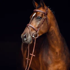 Horze Sion Trense Mit Zügeln 13 Horze Sion Trense Mit Zügeln -Weatherbeeta Shop 10117 br 03