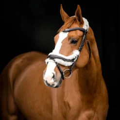 Horze Rome Anatomische Trense 12 Horze Rome Anatomische Trense -Weatherbeeta Shop 10118 DBR 3