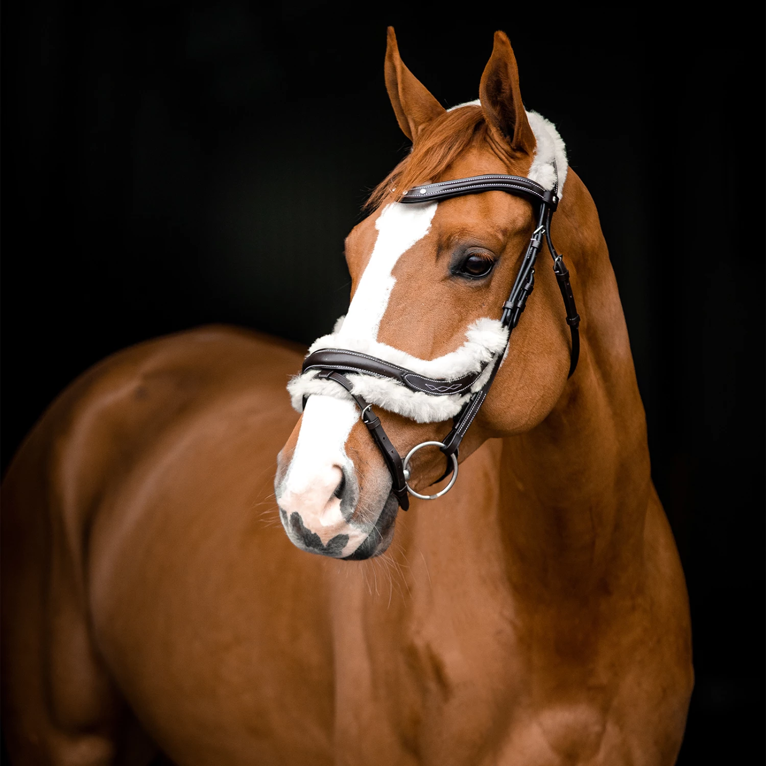 Horze Rome Anatomische Trense 7 Horze Rome Anatomische Trense – Bild 5