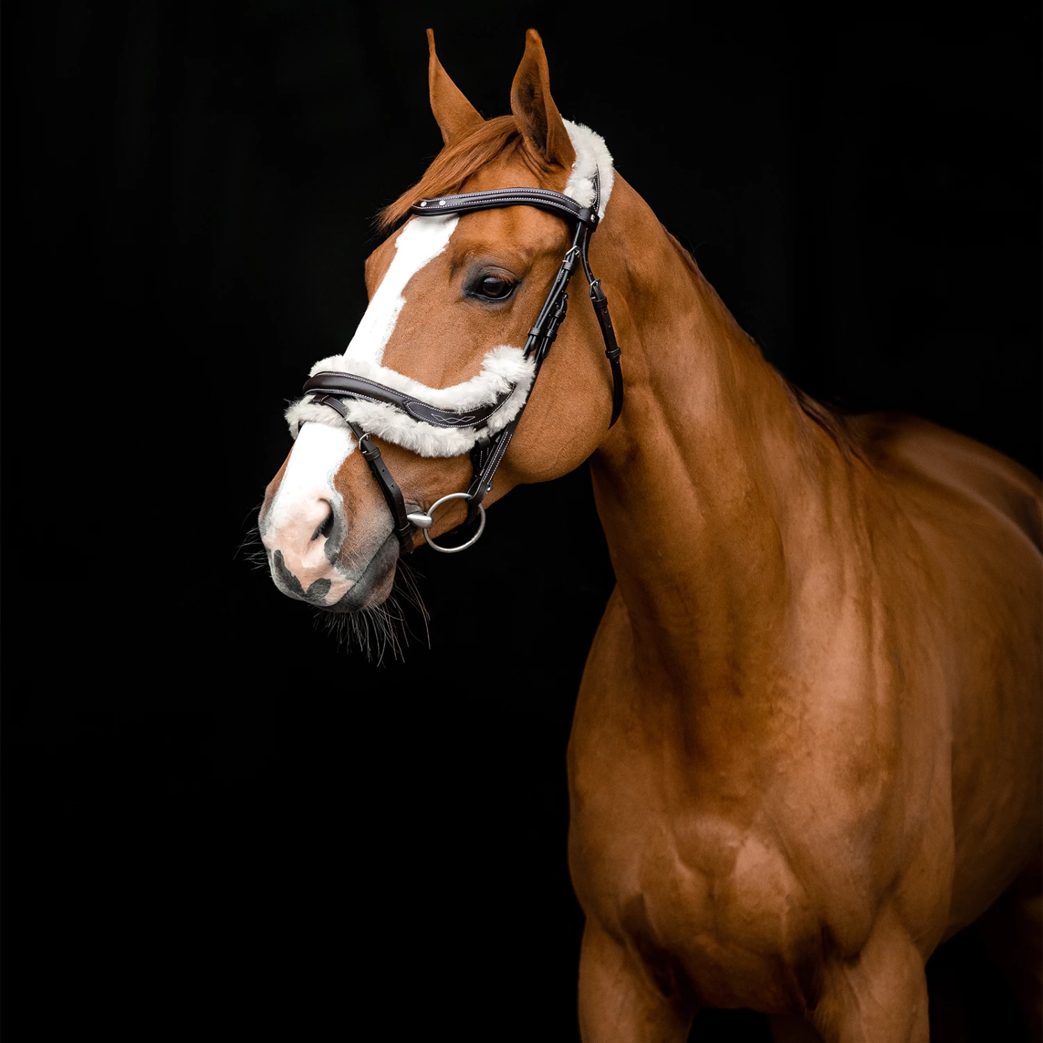 Horze Rome Anatomische Trense 8 Horze Rome Anatomische Trense – Bild 6