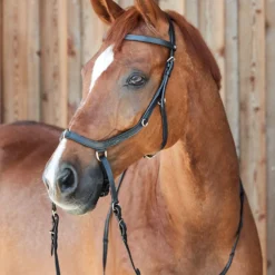 Horze Orlando Anatomische Kombinierte Gebisslose Trense -Weatherbeeta Shop 10125 BL 5