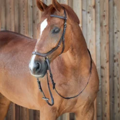 Horze Orlando Anatomische Kombinierte Gebisslose Trense -Weatherbeeta Shop 10125 BR 5