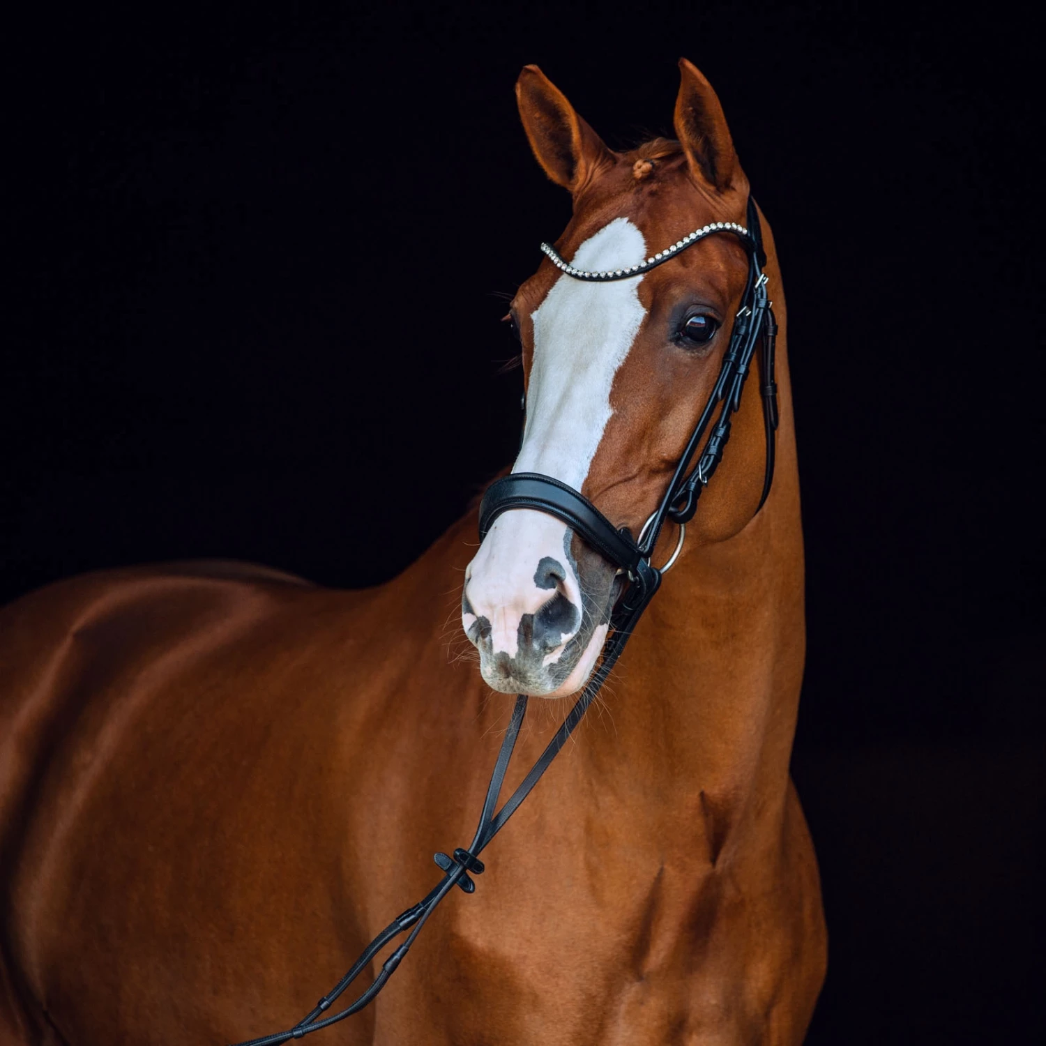 Horze Positano Anatomische Hannoveranische Trense 4 Horze Positano Anatomische Hannoveranische Trense – Bild 2