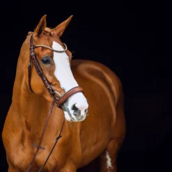 Horze Positano Anatomische Hannoveranische Trense 15 Horze Positano Anatomische Hannoveranische Trense -Weatherbeeta Shop 10126 BR 2