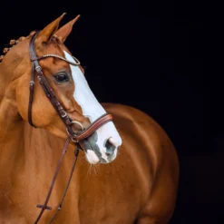 Horze Positano Anatomische Hannoveranische Trense 16 Horze Positano Anatomische Hannoveranische Trense -Weatherbeeta Shop 10126 BR 3