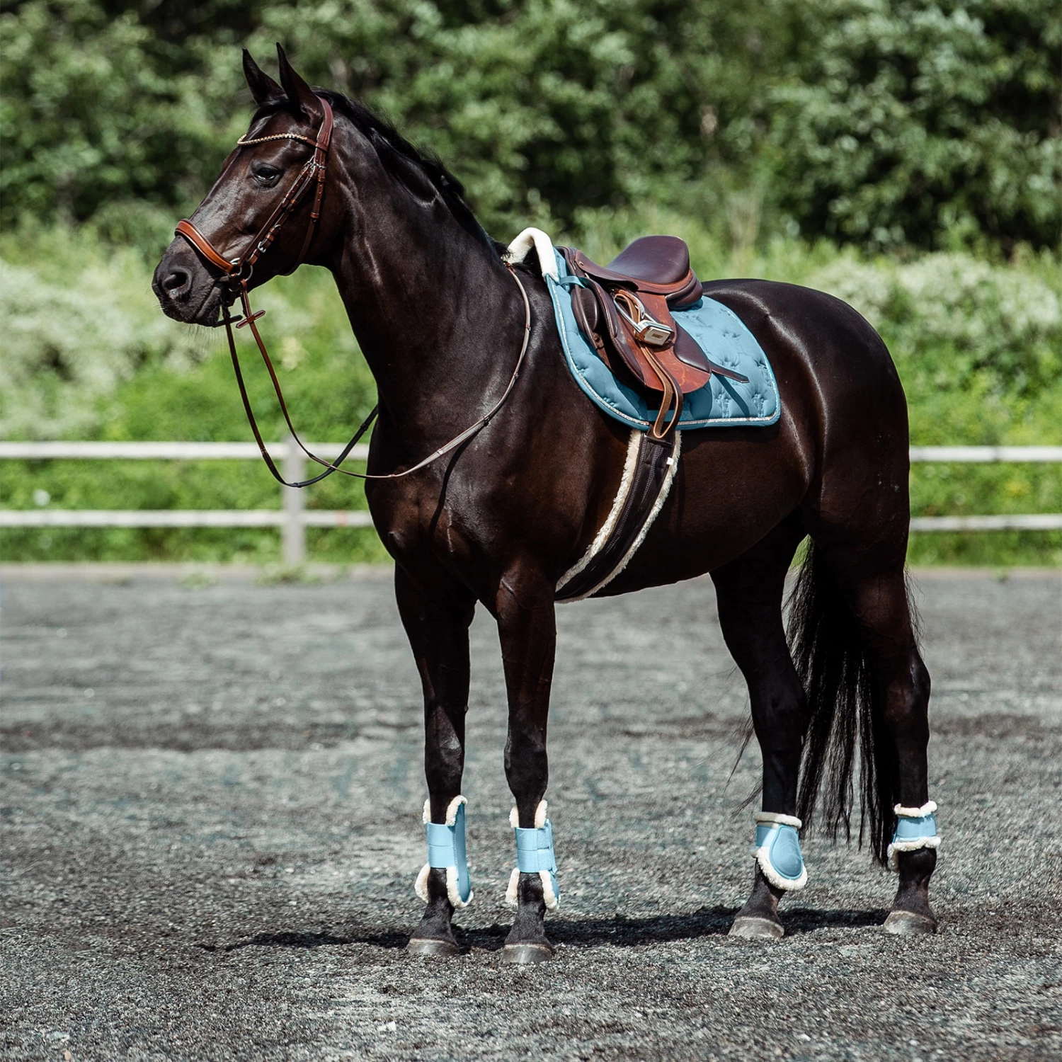 Horze Positano Anatomische Hannoveranische Trense 10 Horze Positano Anatomische Hannoveranische Trense – Bild 8