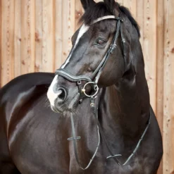Horze Highbury Anatomische Trense Mit Kristall-Stirnriemen -Weatherbeeta Shop 10154 BL 4
