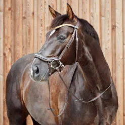 Horze Highbury Anatomische Trense Mit Kristall-Stirnriemen -Weatherbeeta Shop 10154 DBR 4