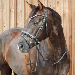 Horze Somerset Anatomische Trense 13 Horze Somerset Anatomische Trense -Weatherbeeta Shop 10156 BL 4