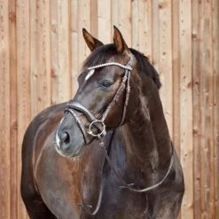 Horze Somerset Anatomische Trense 17 Horze Somerset Anatomische Trense -Weatherbeeta Shop 10156 DBR 4