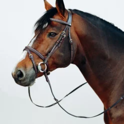 Horze Buxton Anatomische Trense Mit Zügeln -Weatherbeeta Shop 10158 BR 3