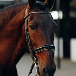 Horze Munich Stirnriemen Mit Strasssteinen -Weatherbeeta Shop 10162 ovgr 02