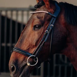 Horze Munich Stirnriemen Mit Strasssteinen -Weatherbeeta Shop 10162 rtpi 02