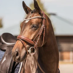 Horze Columbia Stirnriemen Mit Kristallen -Weatherbeeta Shop 10169 BR GO 4