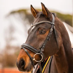 Horze Wicklow Stirnriemen -Weatherbeeta Shop 10179 186 03