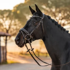 Horze Lockhart Anatomische Trense -Weatherbeeta Shop 10191 790 05