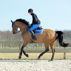 Horze Chooze Vielseitigkeitsschabracke -Weatherbeeta Shop 17000 LLB 2