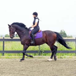 Horze River Vielseitigkeitsschabracke -Weatherbeeta Shop 17014 PU PU 2