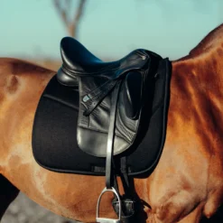 Horze Phoenix Dressurschabracke -Weatherbeeta Shop 17295 BL 4