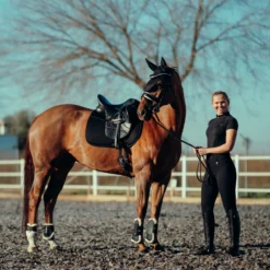 Horze Phoenix Dressurschabracke -Weatherbeeta Shop 17295 BL 5