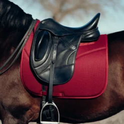 Horze Phoenix Dressurschabracke -Weatherbeeta Shop 17295 adpi 04