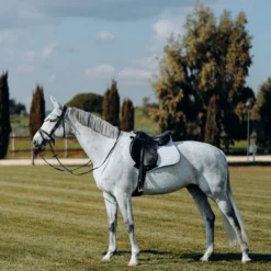 Horze Kühlende Vielseitigkeitsschabracke -Weatherbeeta Shop 17307 PBG 3