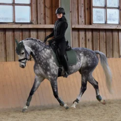 Horze Adepto Vielseitigkeitsschabracke 40 Horze Adepto Vielseitigkeitsschabracke -Weatherbeeta Shop 17343 BKGR 7