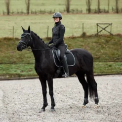 Horze Adepto Vielseitigkeitsschabracke 31 Horze Adepto Vielseitigkeitsschabracke -Weatherbeeta Shop 17343 BL 5