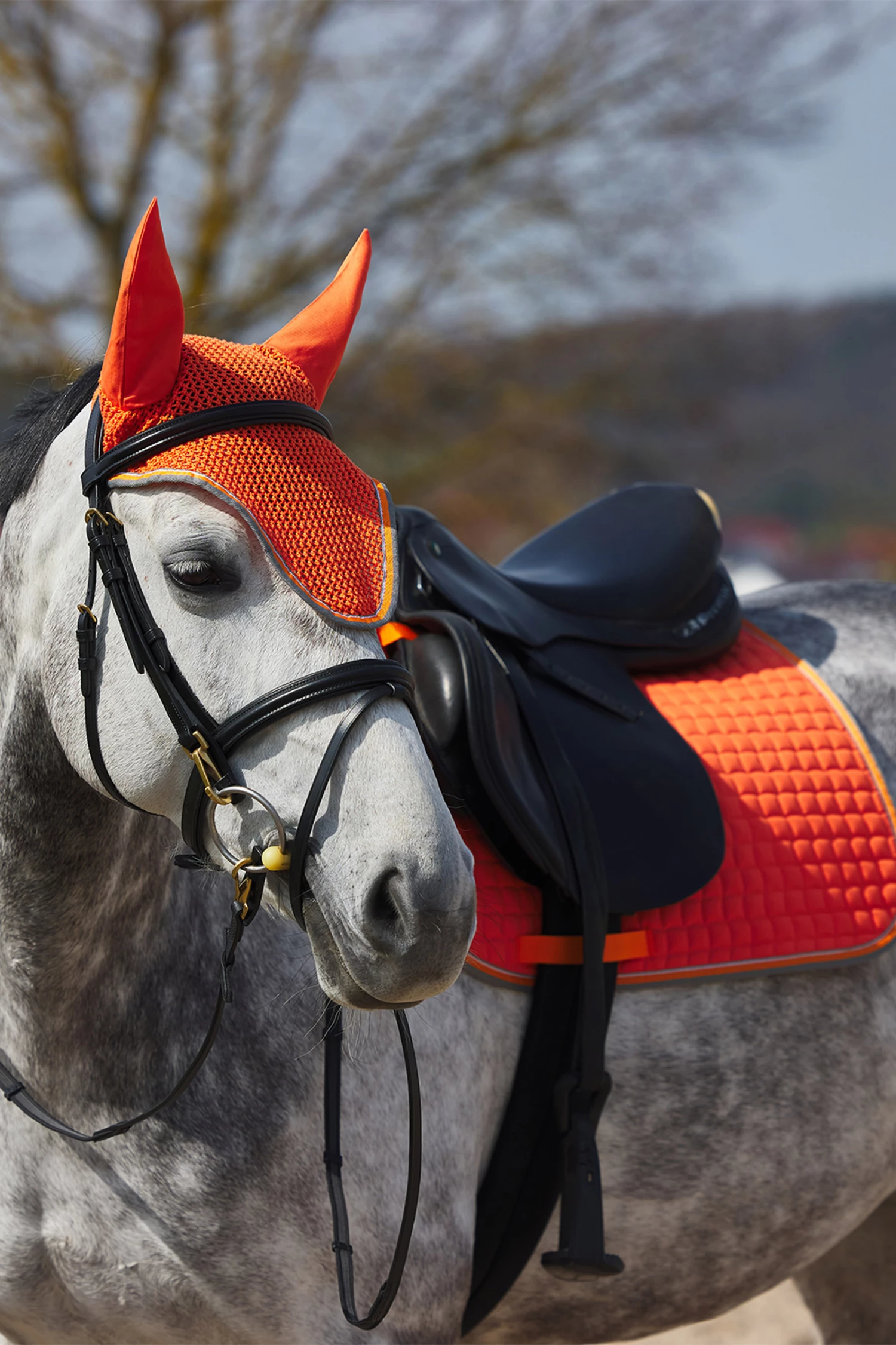 Horze Adepto Vielseitigkeitsschabracke 6 Horze Adepto Vielseitigkeitsschabracke – Bild 4