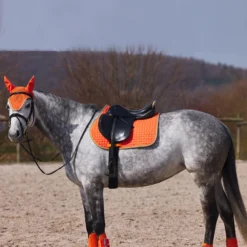 Horze Adepto Vielseitigkeitsschabracke 26 Horze Adepto Vielseitigkeitsschabracke -Weatherbeeta Shop 17343 cgo 05