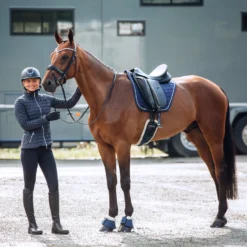 Horze Lincoln Dressurschabracke -Weatherbeeta Shop 17396 DRB 5