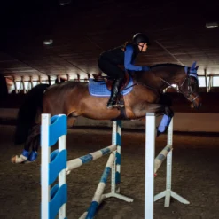 Horze Glarus Dressurschabracke Mit Metallischem Flechtdetail -Weatherbeeta Shop 17397 MLNB 3