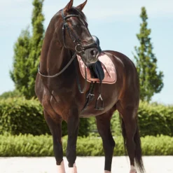 Horze Coventry Dressurschabracke -Weatherbeeta Shop 17417 CPI 3