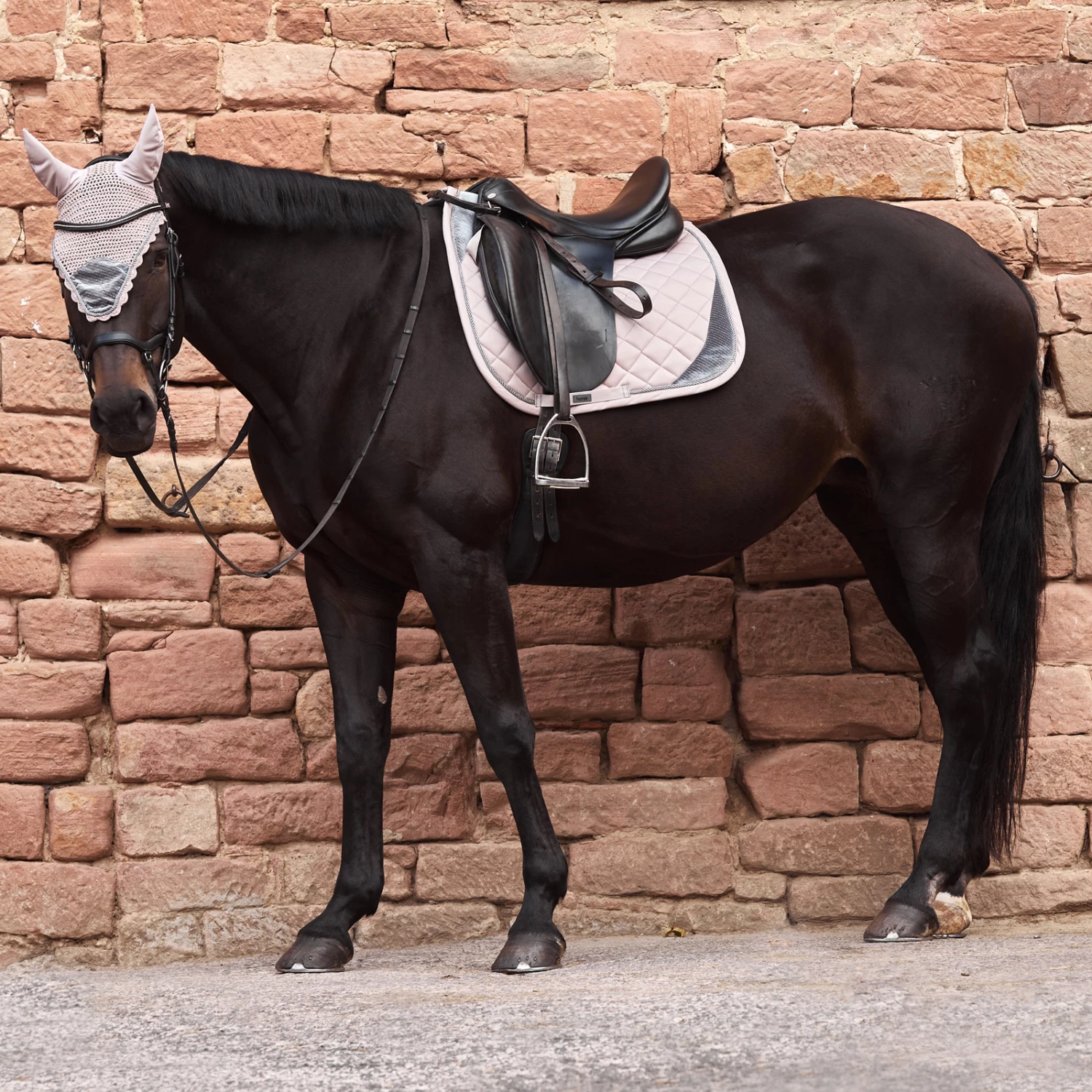 Horze Pomona Dressurschabracke Mit Samtdetails 13 Horze Pomona Dressurschabracke Mit Samtdetails – Bild 11